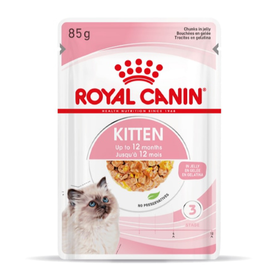 Ração úmida Royal Canin Kitten em sachê de gelatina para gatinhos.