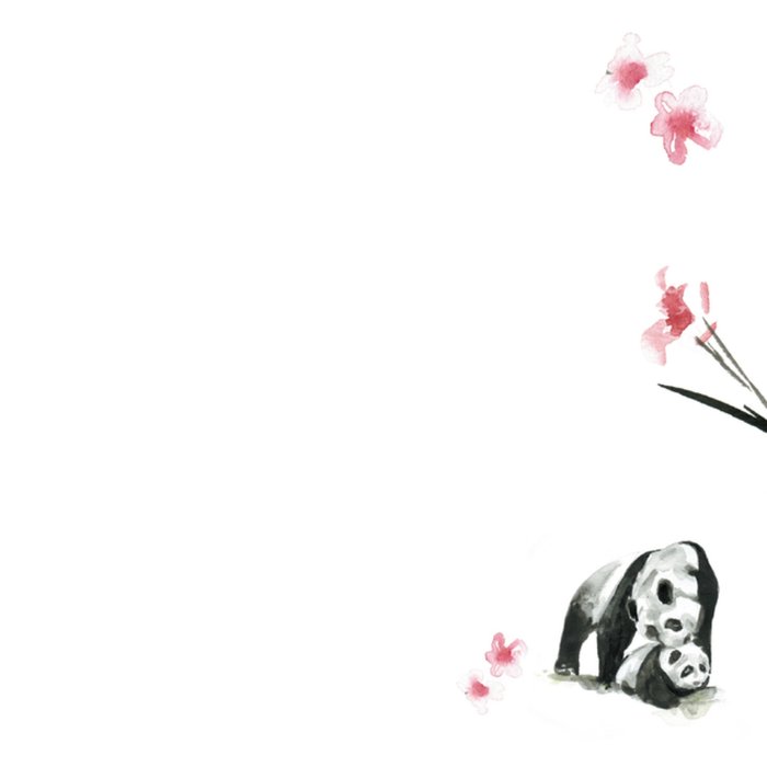 Michelle Dujardin | Geboortekaart | Panda