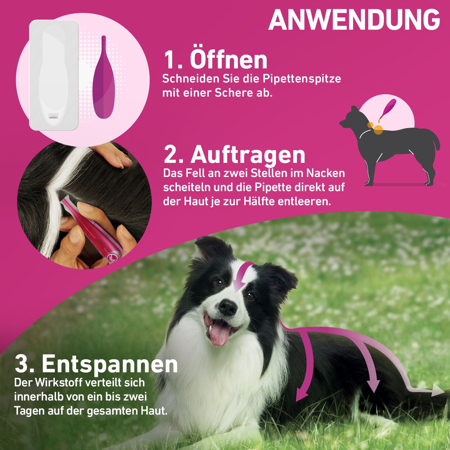 FRONTLINE TRI-ACT® gegen Zecken, Flöhe und fliegende Insekten beim Hund (5-10kg)