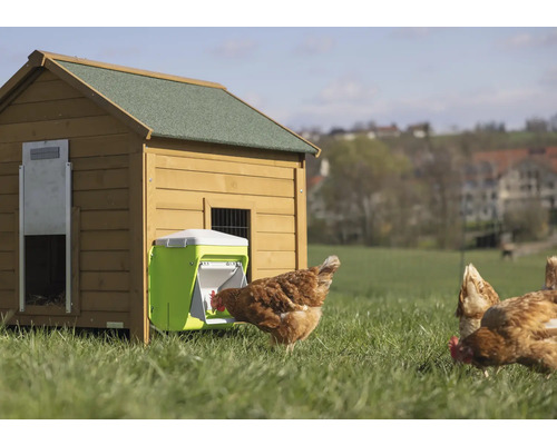 KERBL Smart Coop voerautomaat met trapklep, voor ca. 7,5 kg, 10 l pluimveevoer, kippenvoer, groen en wit
