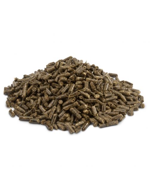 Versele-Laga Crispy Pellets Cavia - Caviavoer