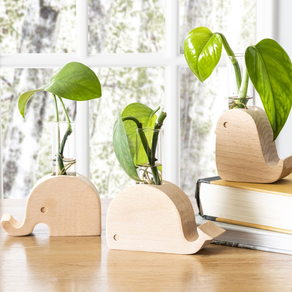 Elephant Propagation Vase (VS01)