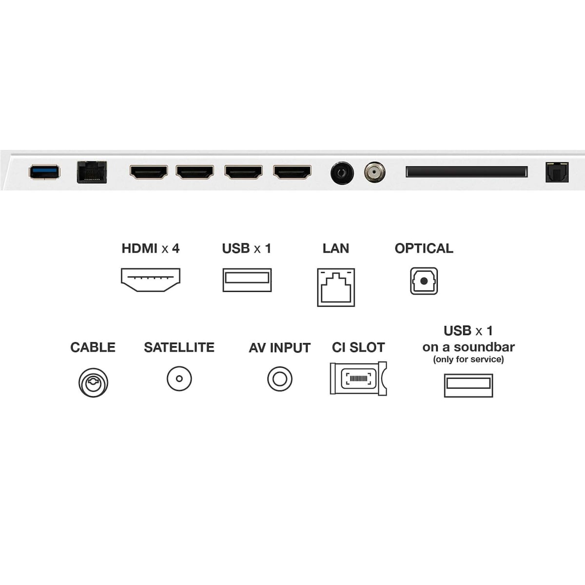 TCL 55