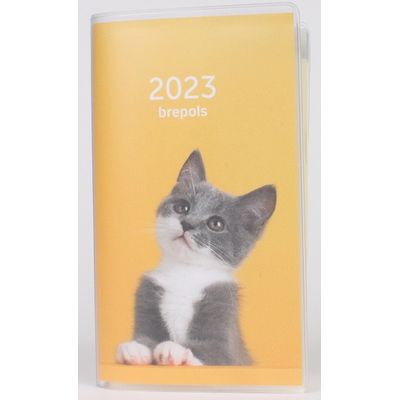 Agenda Interplan Amici - 1 semaine sur 2 pages - 9 x 16 cm - différents modèles disponibles - Brepols