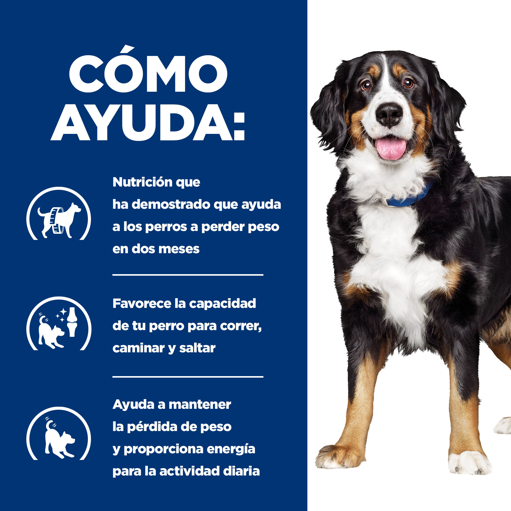 Hill's Prescription Diet Canine j/d Metabolic + Mobility lata para cães