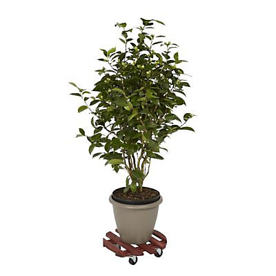 Plateau de manutention rond 150 kg Diall