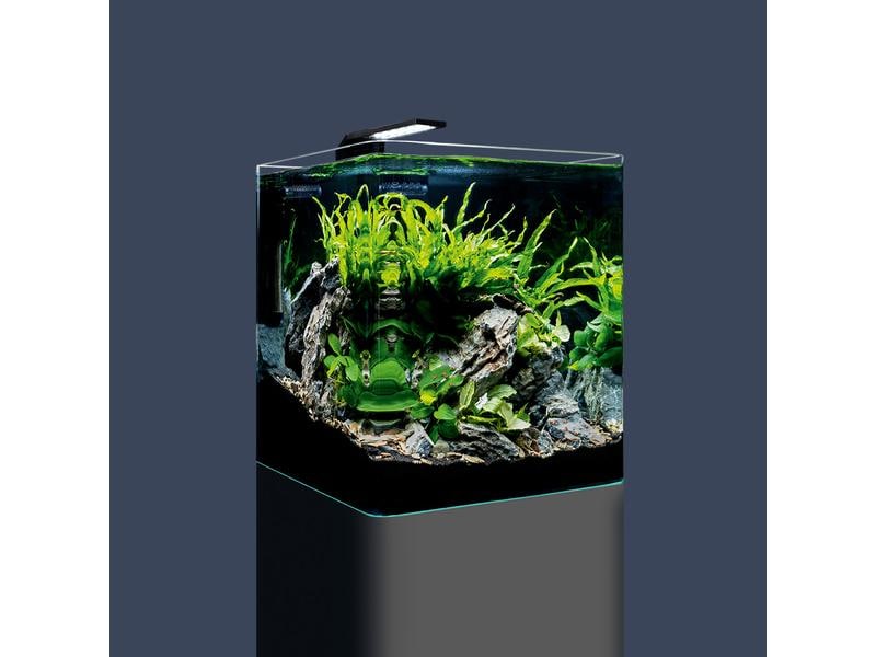Dennerle Aquarium Nano Cube Basic, 30 l Mini Aquarium Set