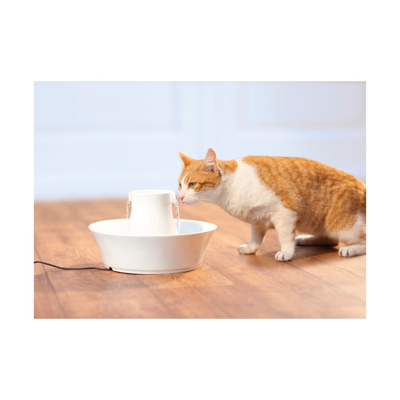 PetSafe Drinkwell Keramik Trinkbrunnen Avalon 2 Liter