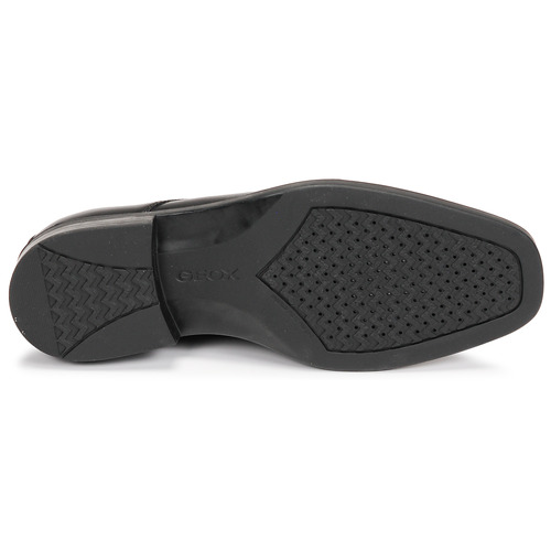 Geox - U BRANDOLF - Noir