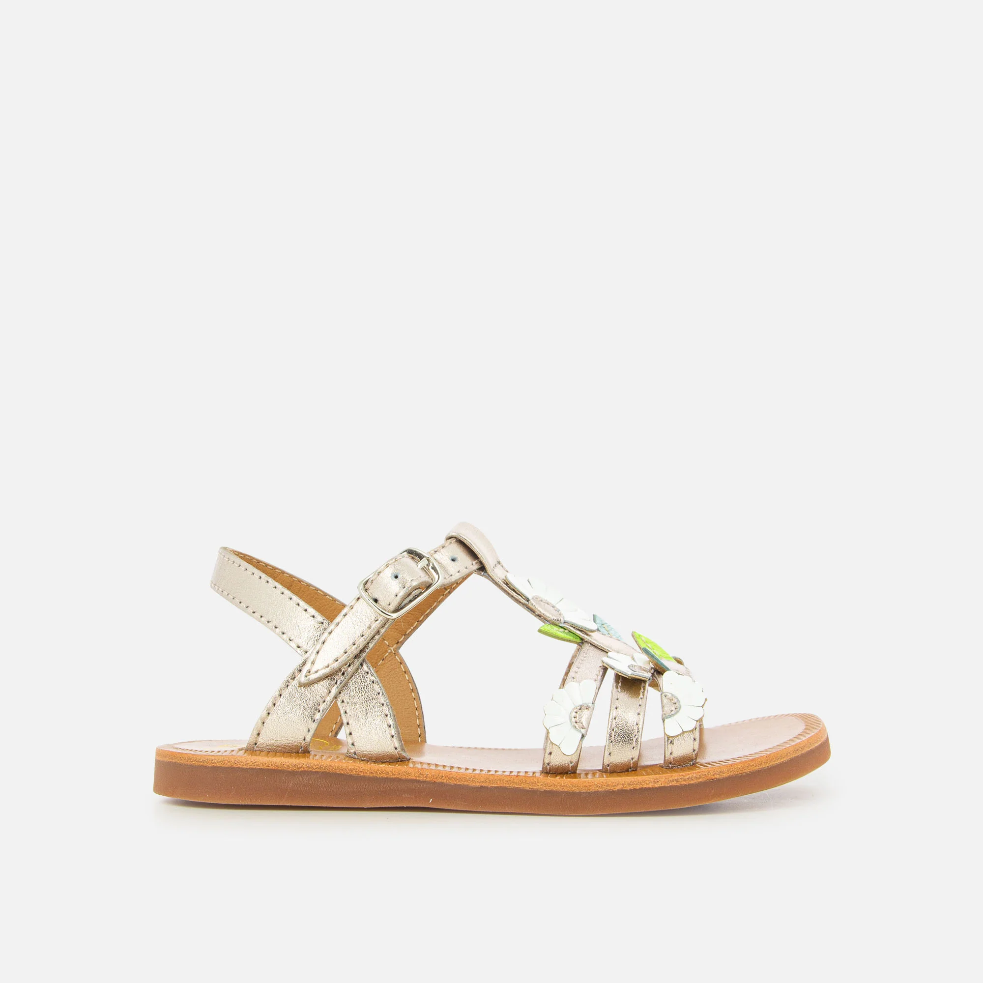 PLAGETTE MULTI DAISY