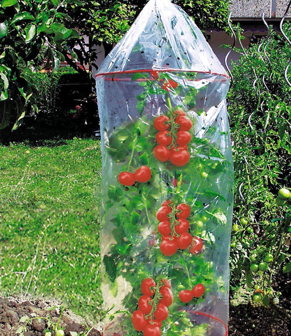 Tomaten-Reifehaube 3er-Set
