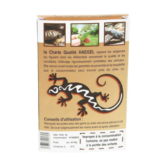 Souris blanchons 5 jours, 5-6 gr (9 pièces)