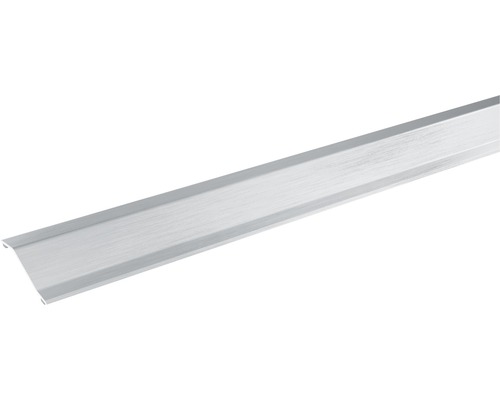 SKANDOR verstelprofiel, zilver geanodiseerd, zelfklevend, 10x30x900 mm