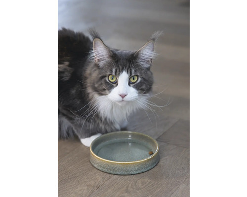Kom ontworpen door Lotte Jace, ø 15 cm, keramiek, ca. 700 ml, groen