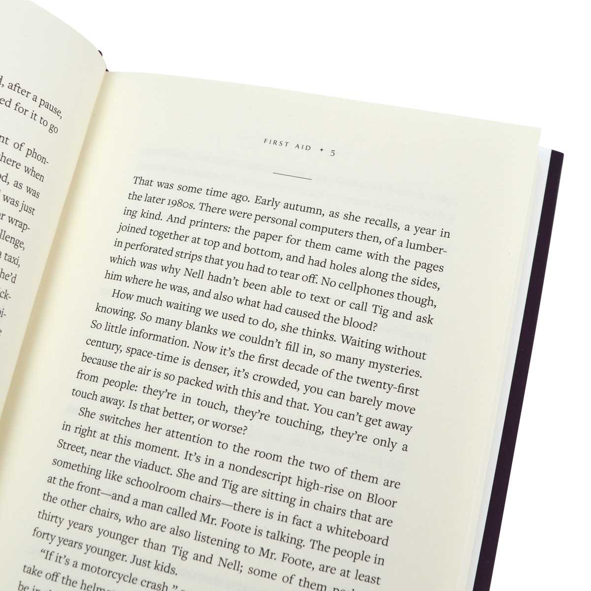 Old Babes in the Wood (Hardback)