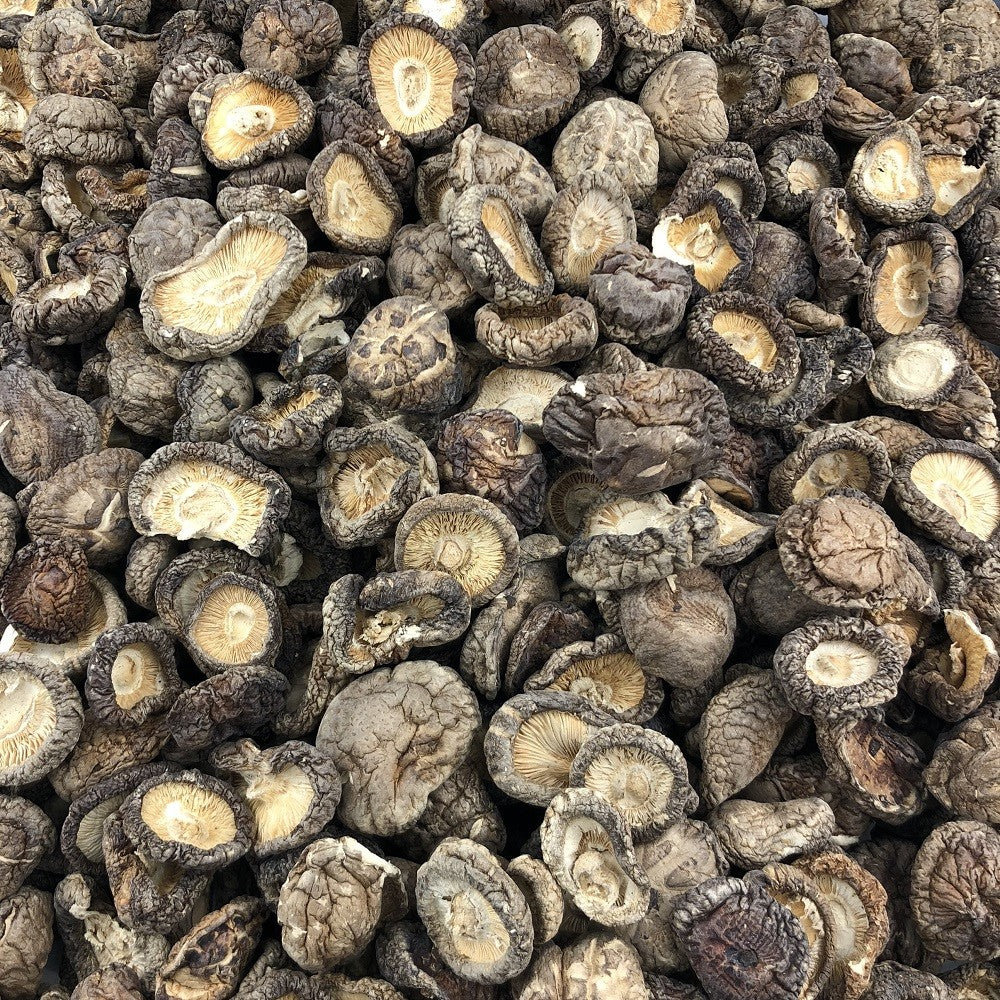 Champignon Shiitake Bio en Vrac 1kg Vrac Bio