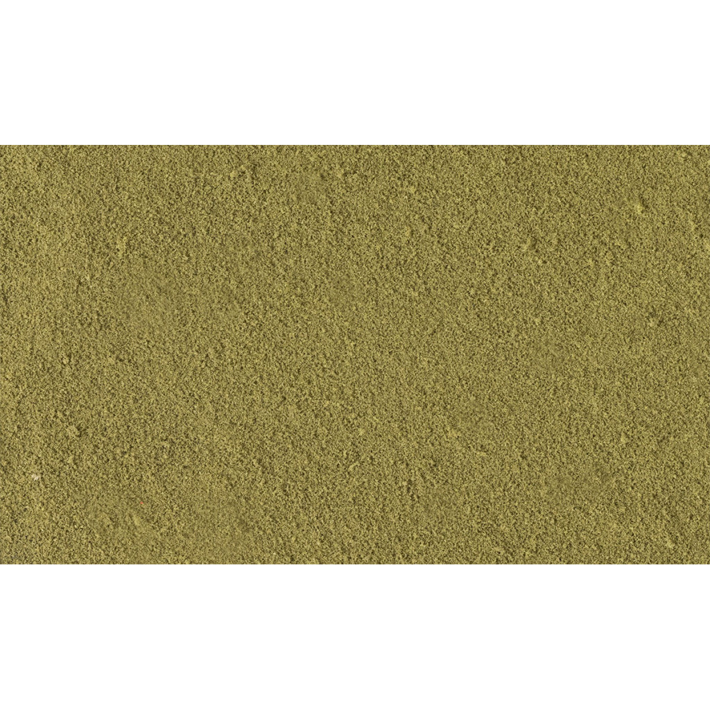 Woodland Scenics - Flocage Fin en Shaker Earth