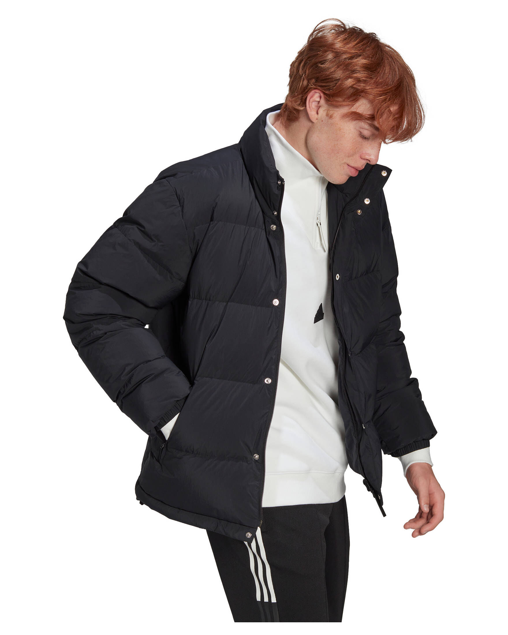 adidas Sportswear| Herren Daunenjacke PUFFER JACKET