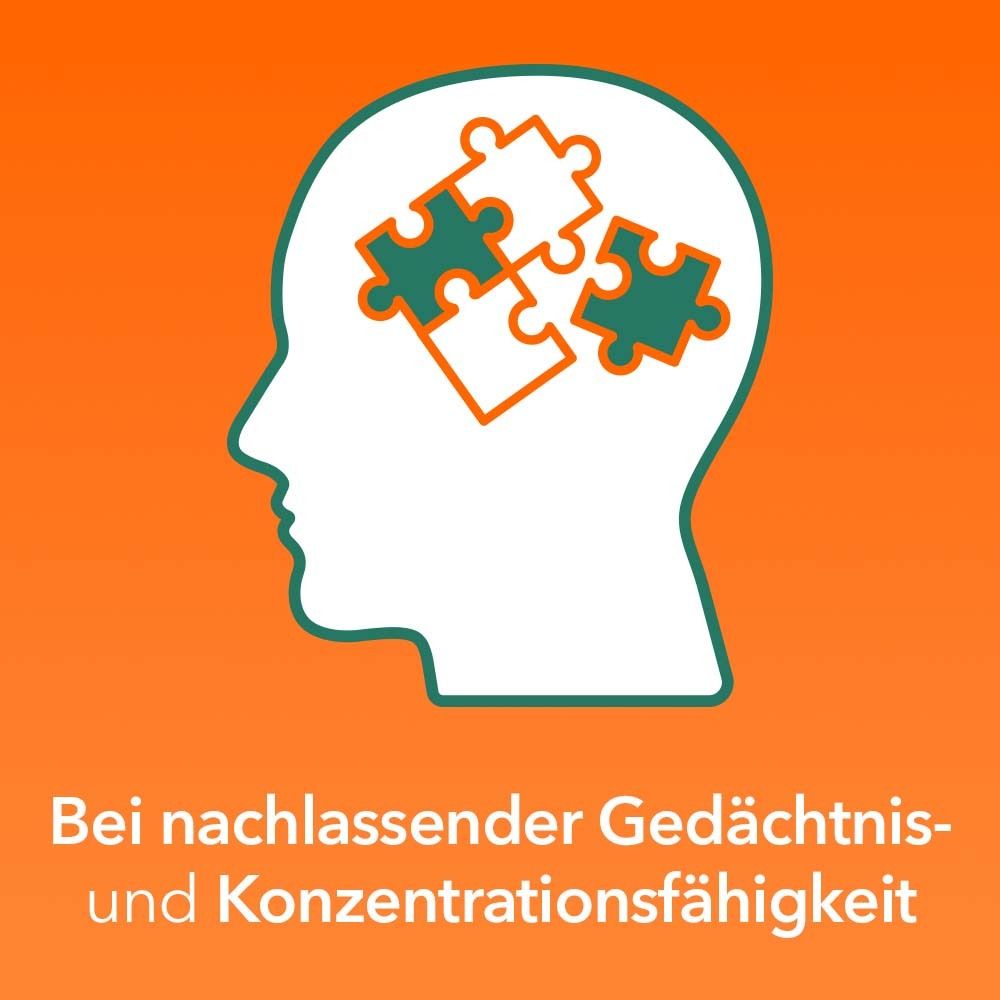 Ginkobil® ratiopharm 240mg mit Ginkgo biloba