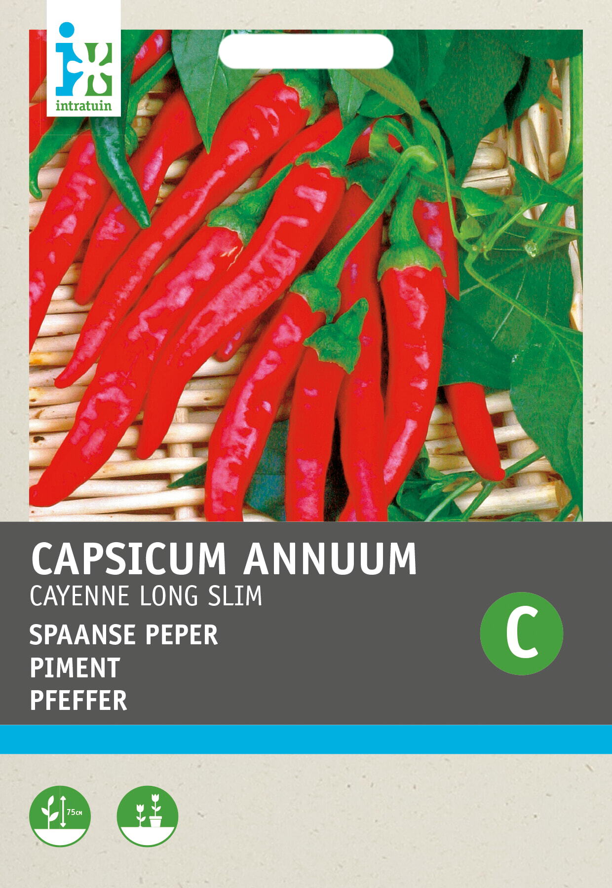 Intratuin groentezaad Peper Cayenne rood (Capsicum Annuum 'Spaanse Lange Rode')