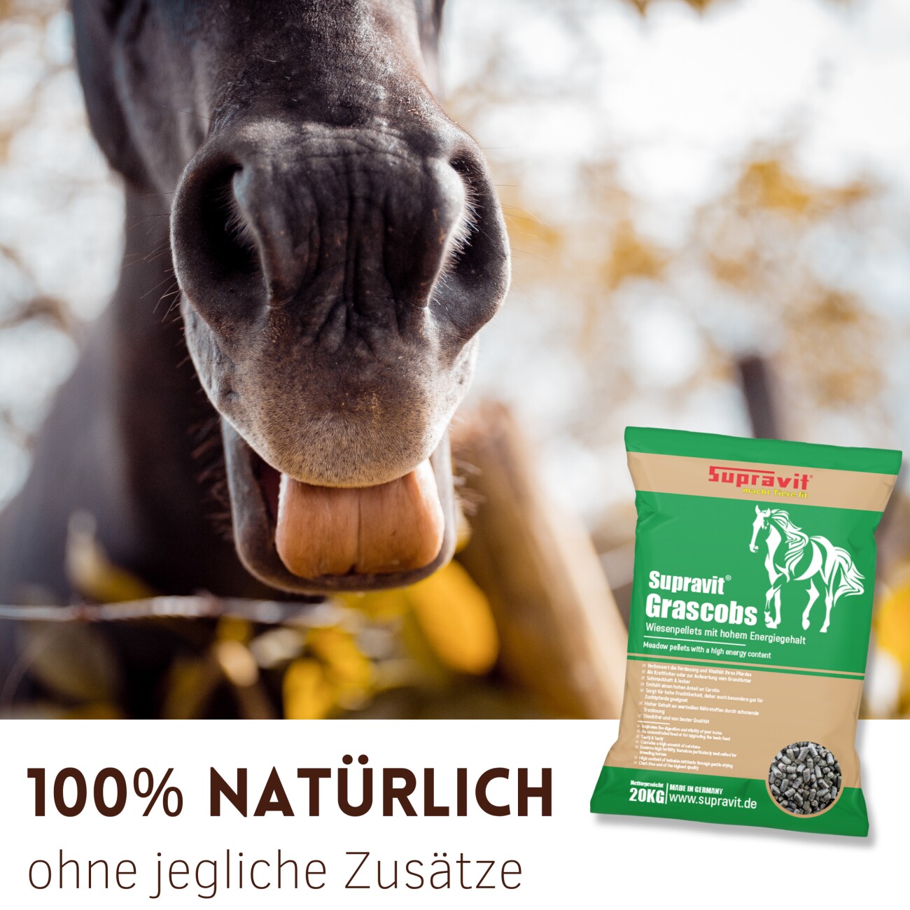 Supravit Grascobs für Pferde 20kg | natürliche Graspellets als Heuersatz | Wiesencobs für Pferde mit hohem Energiegehalt | Pferdefutter Heucobs aus frischem Gras