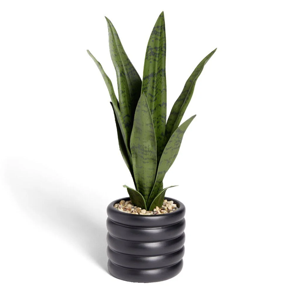 Plante artificielle verte succulente pot ciment noir Ø12xH38cm