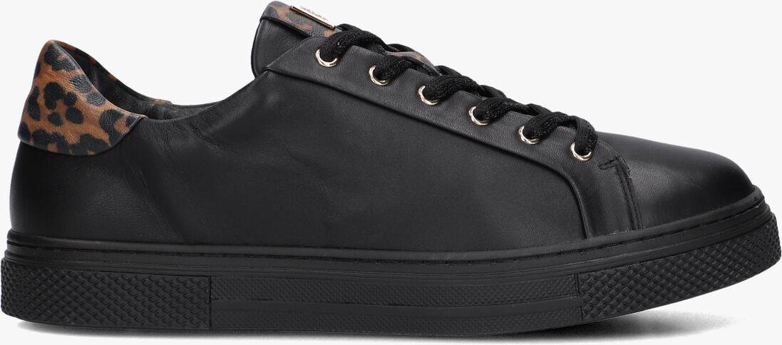 zwarte hassia lage sneakers asti