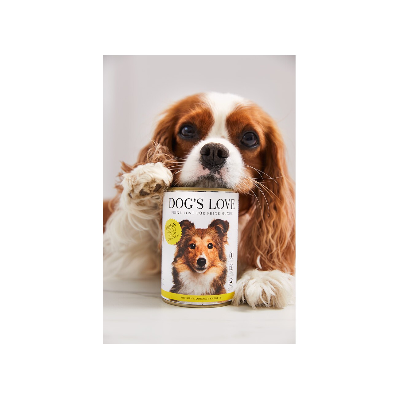 DOG'S LOVE Adult Huhn 6x800 g