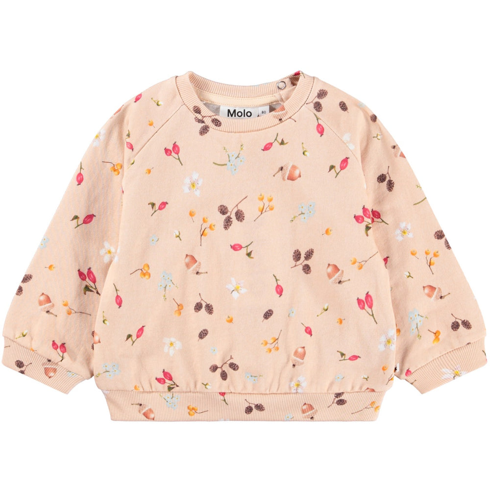 Køb Molo Foraging Rose Disc Sweatshirt