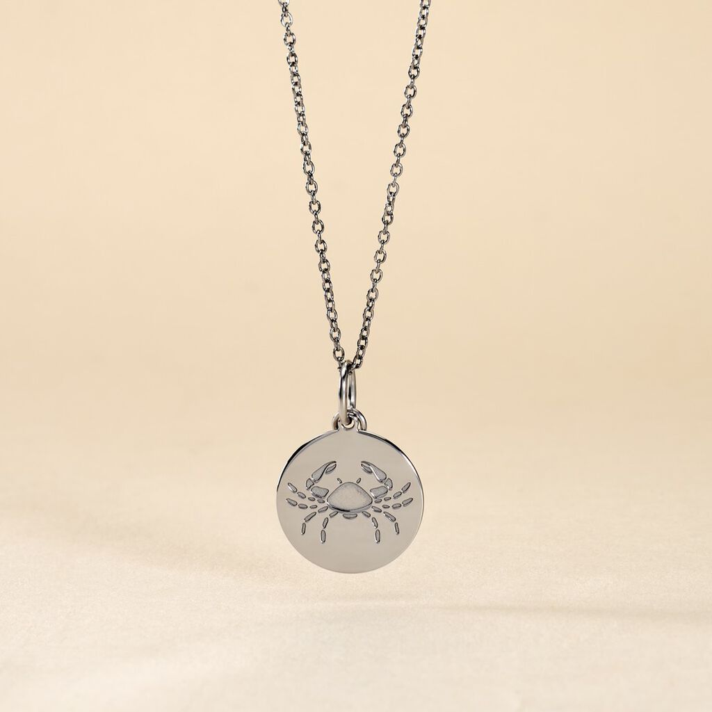 Pendentif Zodiaque Rond Argent Blanc