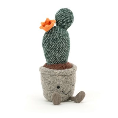 Silly Succulent Prickly Pear Cactus