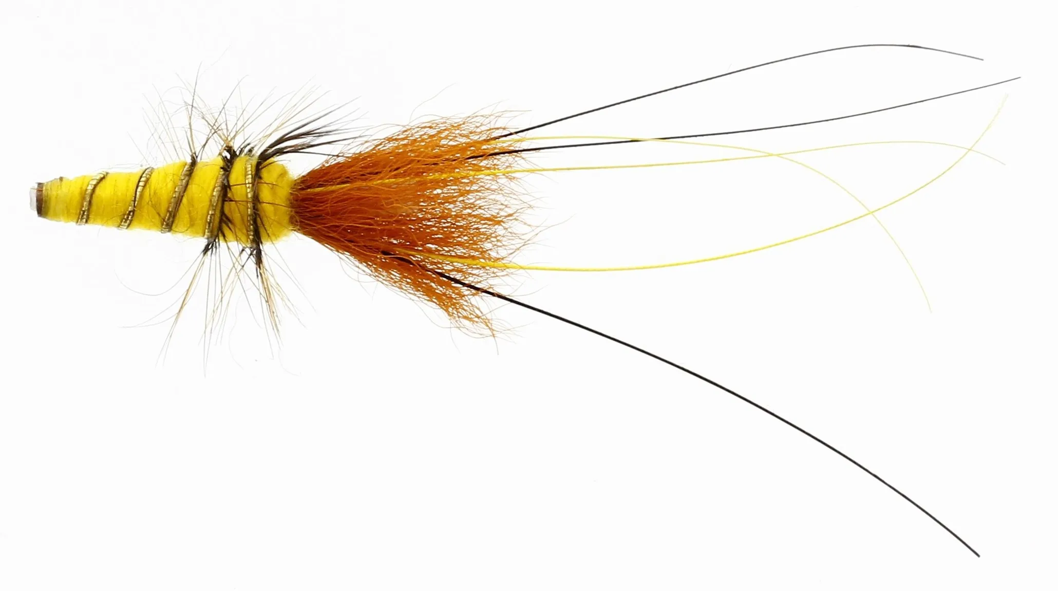 Unique Flies Banana Frances Tube 1