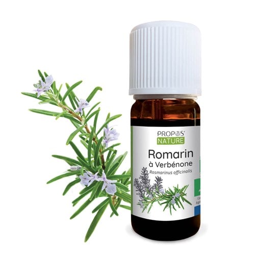 Romarin à verbénone bio - huile essent