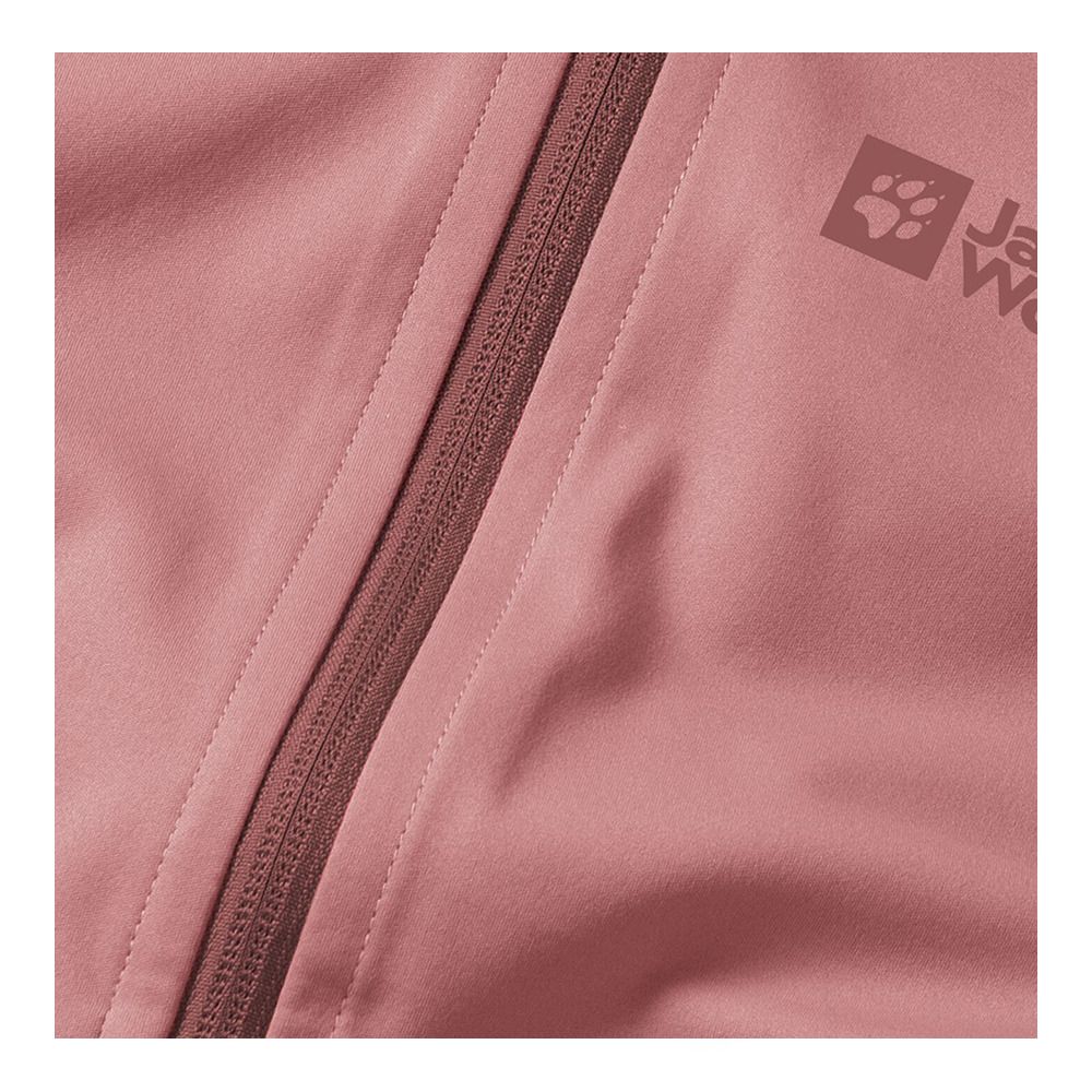 Jack Wolfskin GO HIKE SOFTSHELL - Veste Femme apple butter