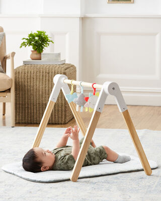 Skip Hop  Silver Lining Babygym Tre