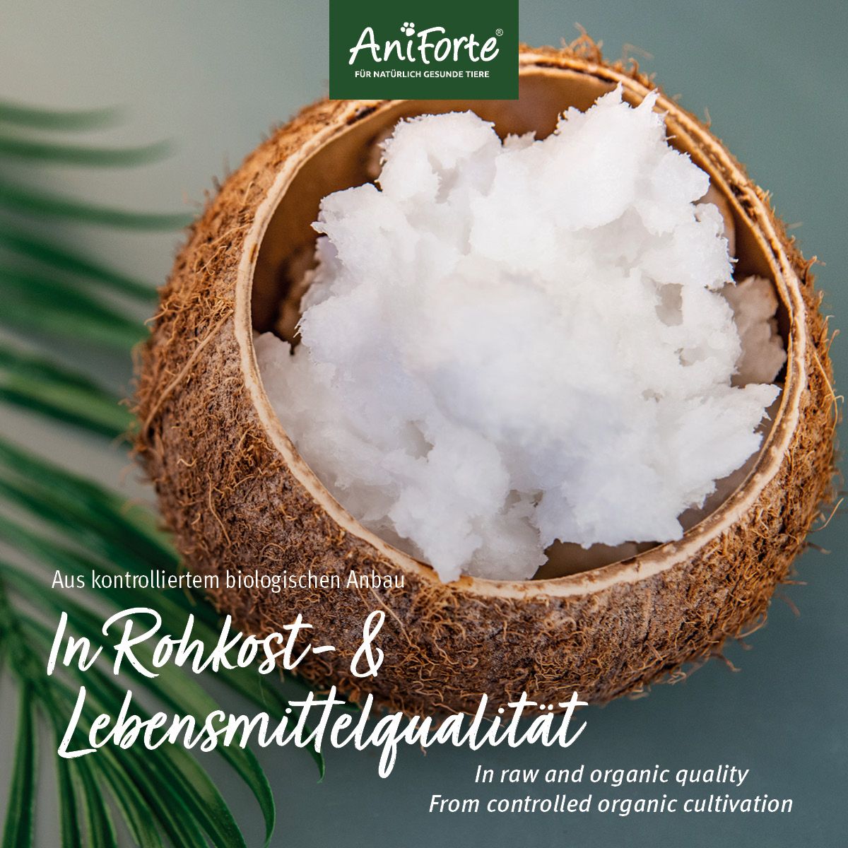 AniForte Bio Kokosöl