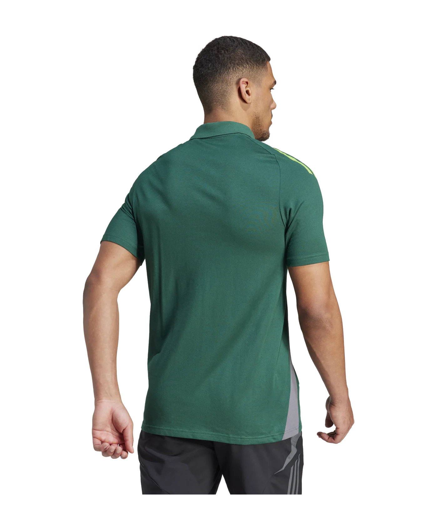 adidas Tiro 24 Competition Poloshirt Grün