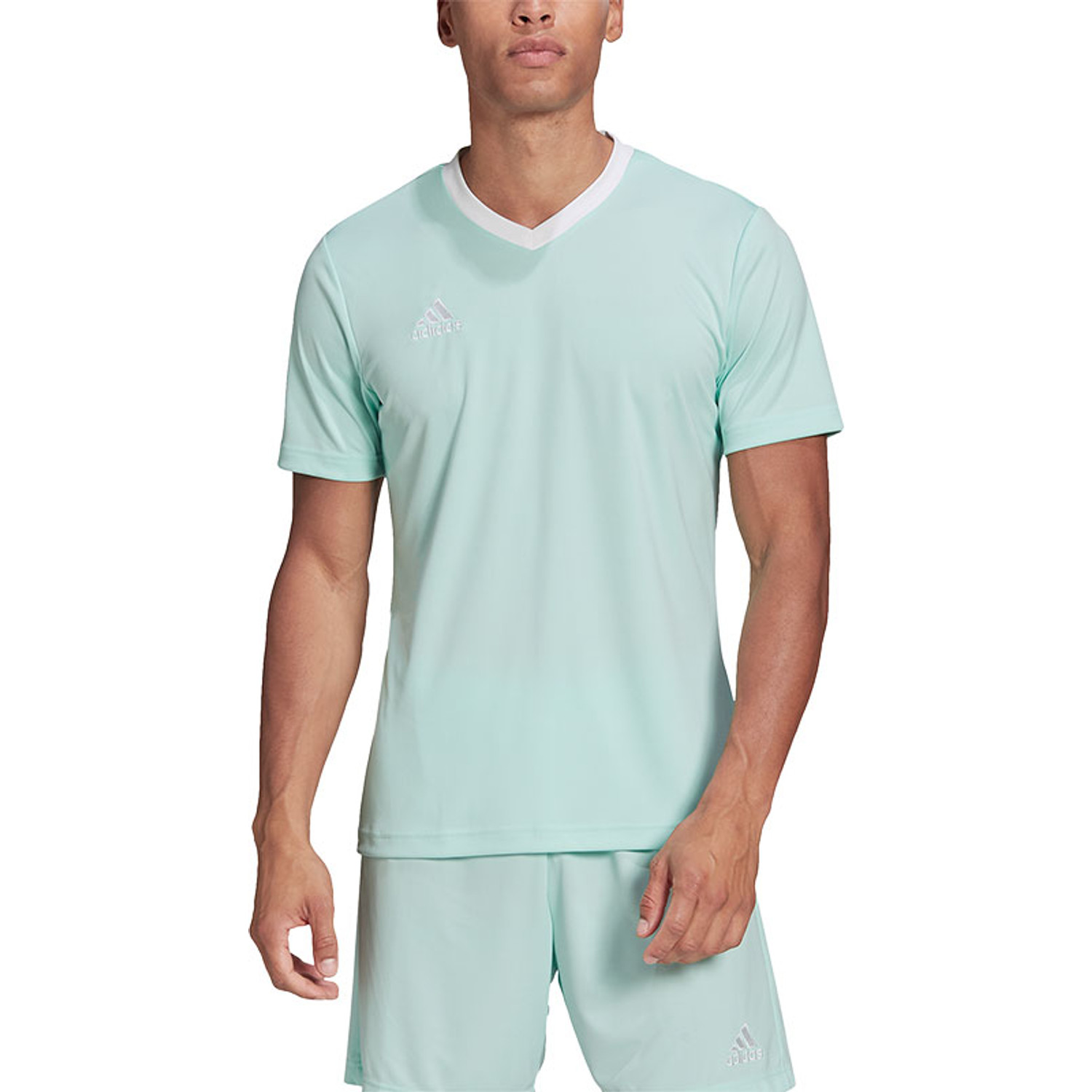 adidas Entrada 22 Training Shirt
