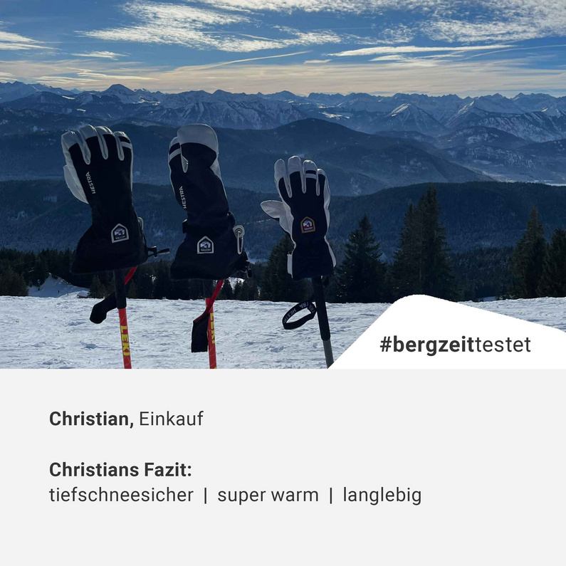 Hestra Army Leather Heli Ski Handschuhe