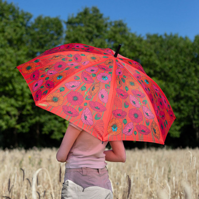 Parapluie - Rainbeau