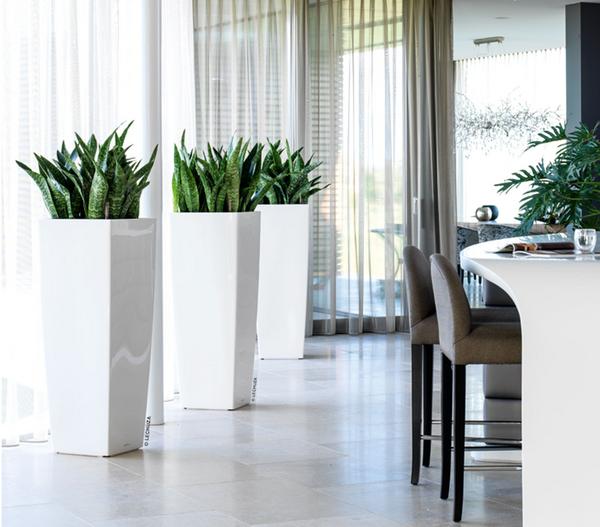 LECHUZA® CUBICO ALTO, All-in-One-Set, ca.