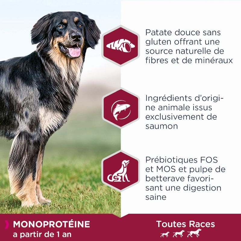 Eukanuba Adult Mono-Protein au saumon
