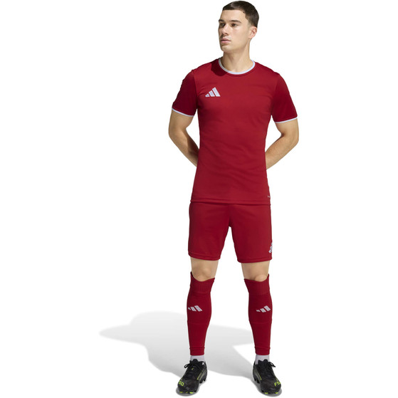 adidas Entrada 26 Trainingsset