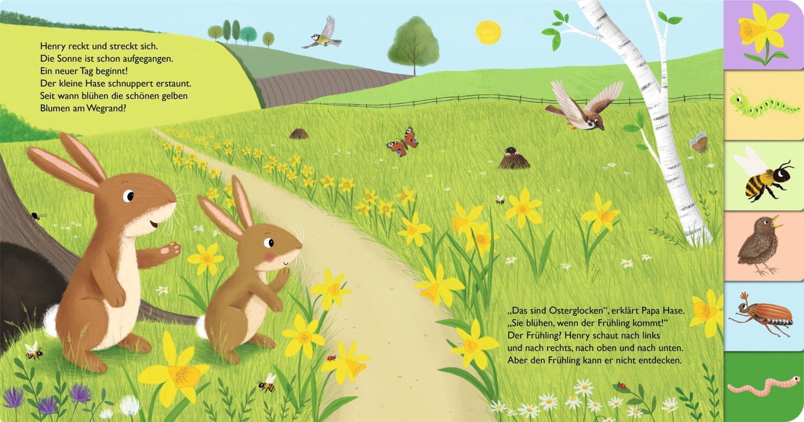 Mein erstes Jahreszeitenbuch: Henry, der kleine Hase