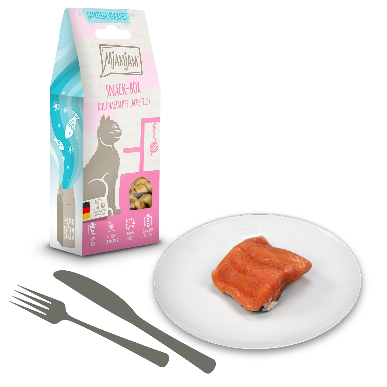Snackbox - kulinarisches Lachsfilet