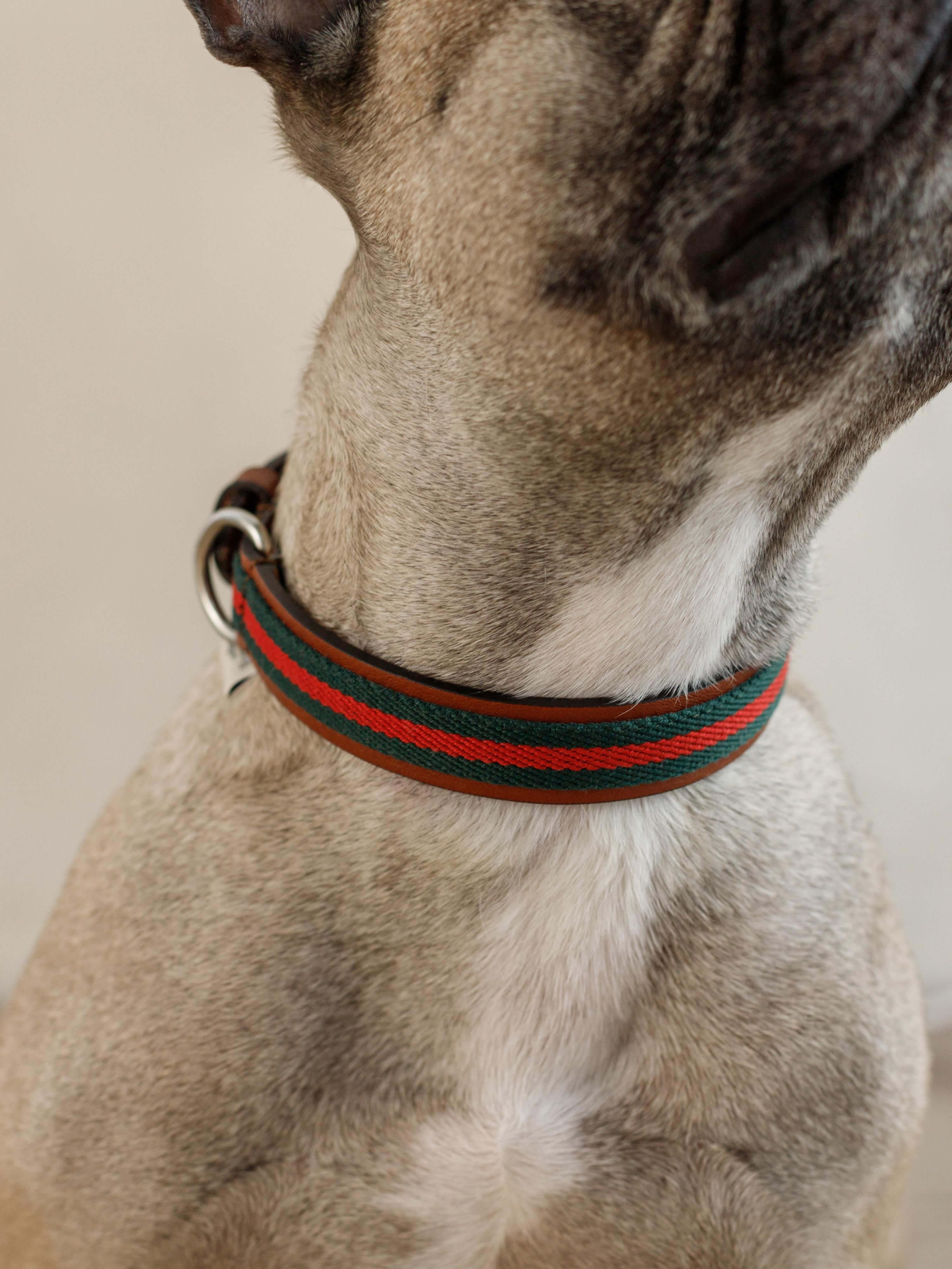 Handgemaakte huisdier halsband Baseball, in verschillende formaten