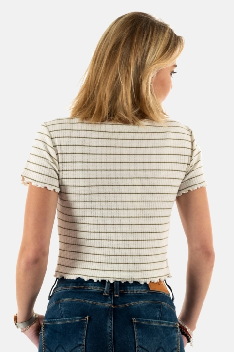 tee shirt only anits aloe
