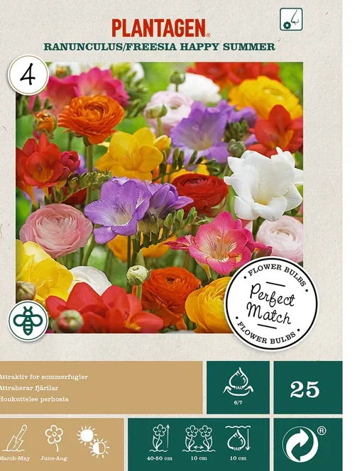 Plantagen Ranunkel og freesia Miks ‘Happy Summer’ 25 pk
