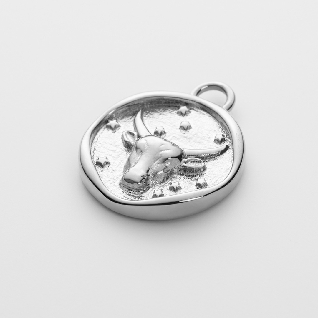 Paul Hewitt Taurus Charm Silbrig