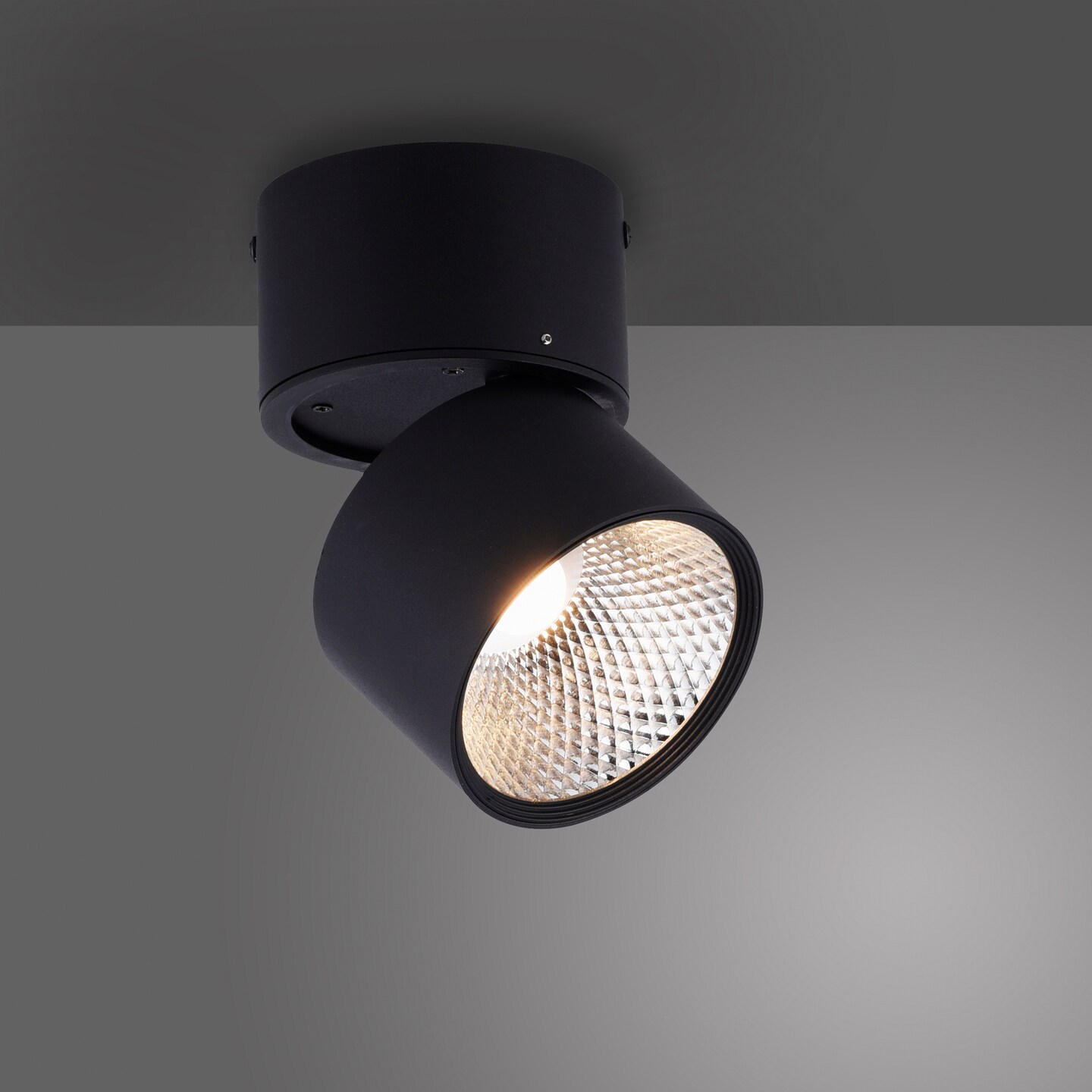 Paul Neuhaus LED Deckenlampe mit 1 Spots PURE-NOLA 15 cm schwarz